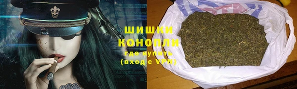 стаф Зерноград