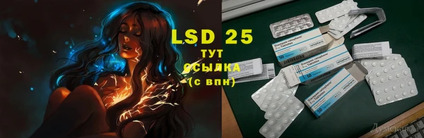 стаф Зерноград