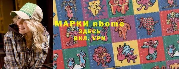 стаф Зерноград