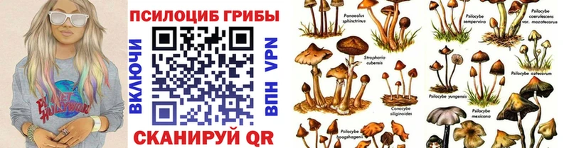 Купить  Горно-Алтайск  Псилоцибиновые грибы ЛСД 
